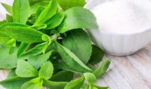 Стевія: користь і шкода для організму